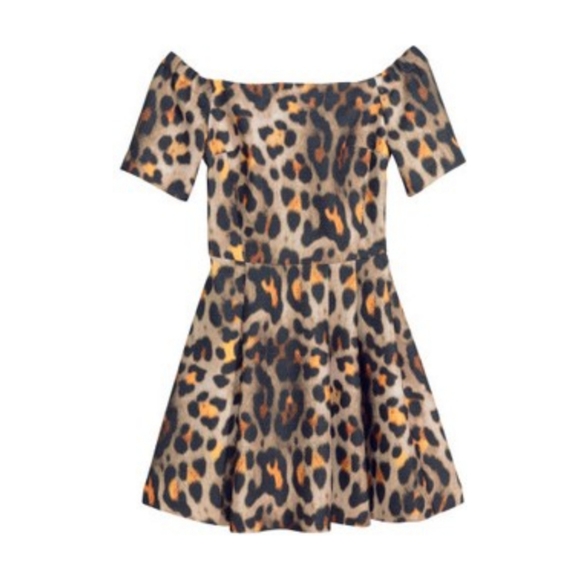 H&M Dresses & Skirts - NWT 🐆 H&M Off the Shoulder Leopard Cheetah Print Pleated Skater Dress